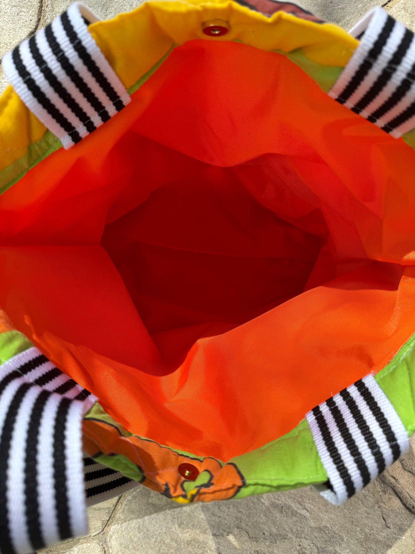Coyote and Road Runner Upcycled Tote Bag