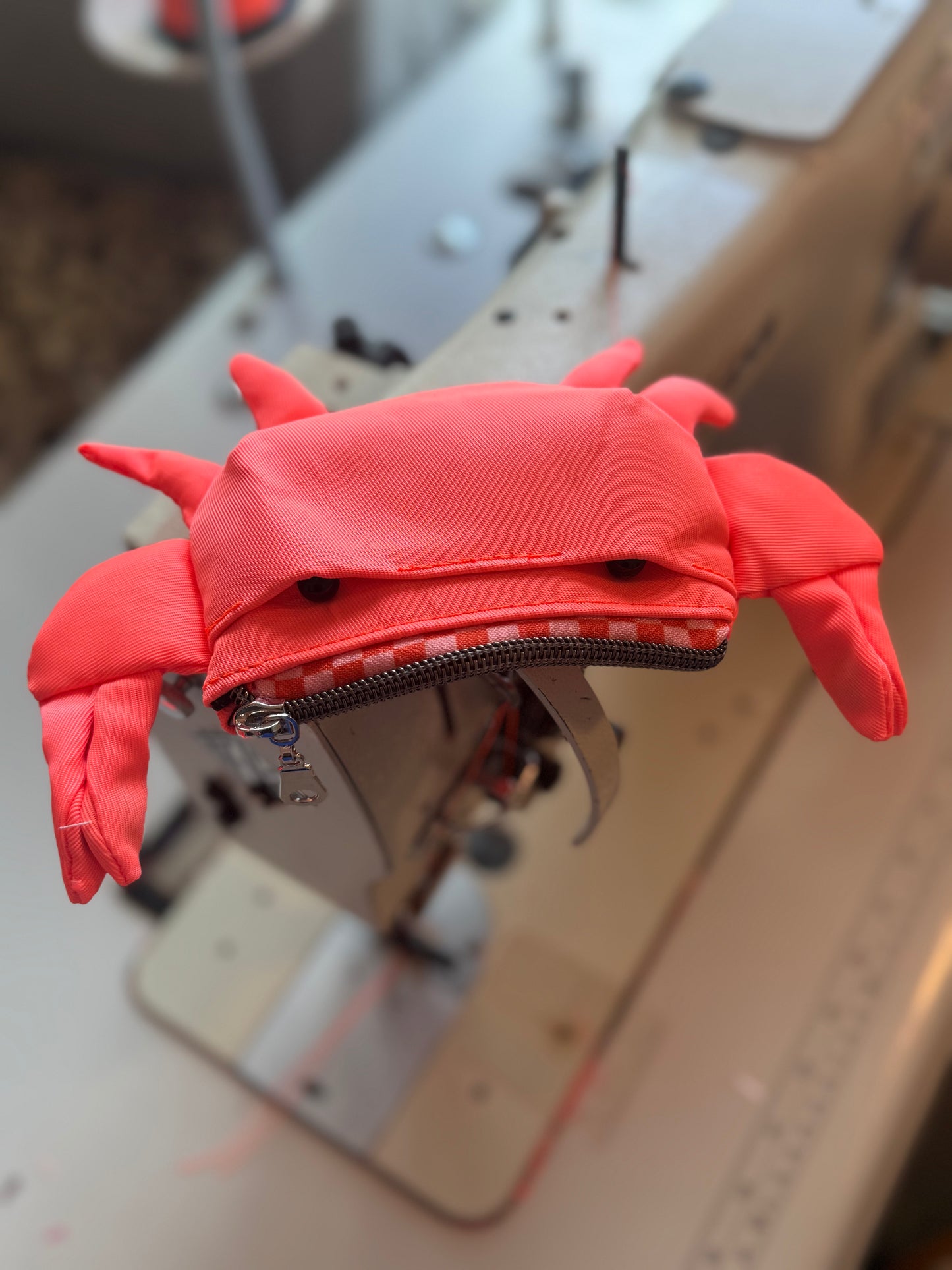 The Snappy Crab Bag Pattern